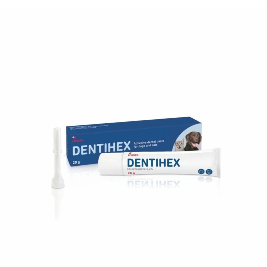 Dentihex Οδοντόπαστα με Χλωρεξιδίνη - 20gr
